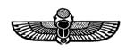 beetle