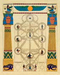 tree of life