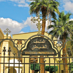 The Coptic Museum